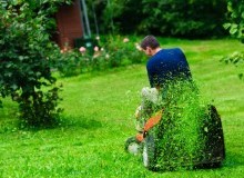 Kwikfynd Lawn Mowing
pallamana