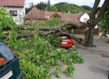 Kwikfynd Tree Cutting Services
pallamana