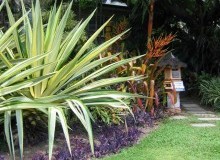 Kwikfynd Tropical Landscaping
pallamana